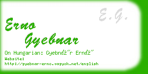 erno gyebnar business card